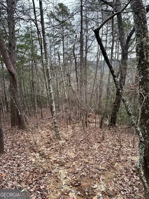 3 Dike Rd, Toccoa, GA 30577 photo 4