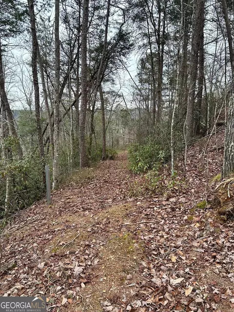 3 Dike Rd, Toccoa, GA 30577 photo 2