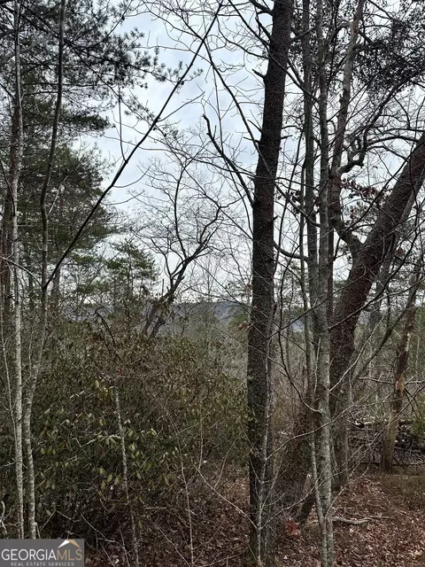 3 Dike Rd, Toccoa, GA 30577 photo 5