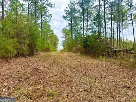 1461 N Walkers Mill Rd #6.98 ACRES, Griffin, GA 30223