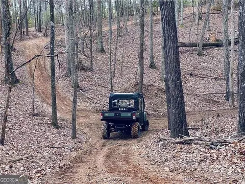 960 Cass Pine Log Rd, Rydal, GA 30171 photo 3