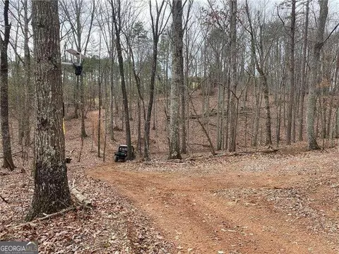 960 Cass Pine Log Rd, Rydal, GA 30171 photo 58
