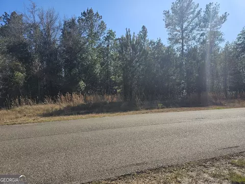 55 Catfish Landing Circle, Kingsland, GA 31548