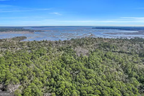 0 Drizzle Bluff Rd, Woodbine, GA 31569