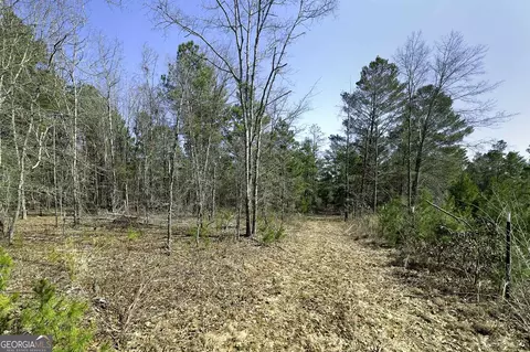 337 Pope Rd, Roberta, GA 31078 photo 27