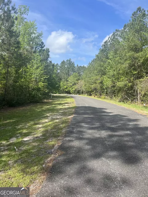 0 Branch Creek Rd, Woodbine, GA 31569