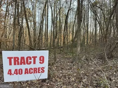 0 Mud Green Tract 9, Temple, GA 30179