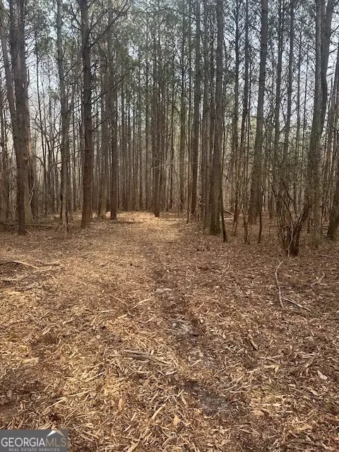 0 Main St #LOT 4, Milner, GA 30257