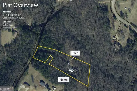 216 Falcon Ln, Carnesville, GA 30521 photo 13