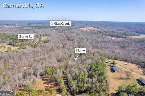 216 Falcon Ln, Carnesville, GA 30521 photo 11
