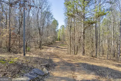 216 Falcon Ln, Carnesville, GA 30521 photo 7