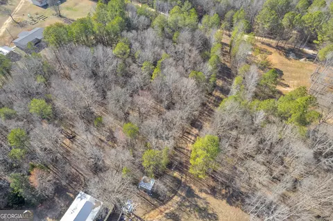 216 Falcon Ln, Carnesville, GA 30521 photo 10