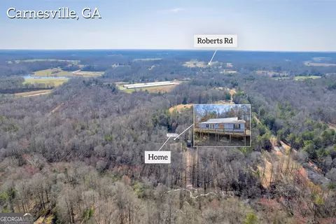 216 Falcon Ln, Carnesville, GA 30521 photo 12