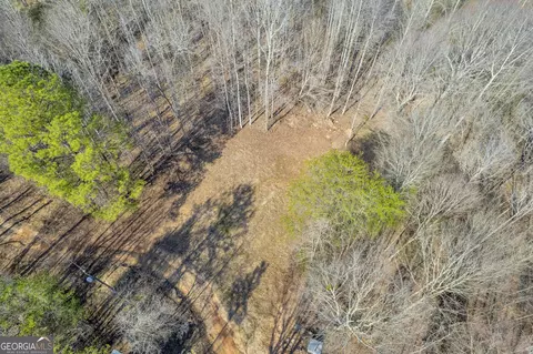 216 Falcon Ln, Carnesville, GA 30521 photo 8