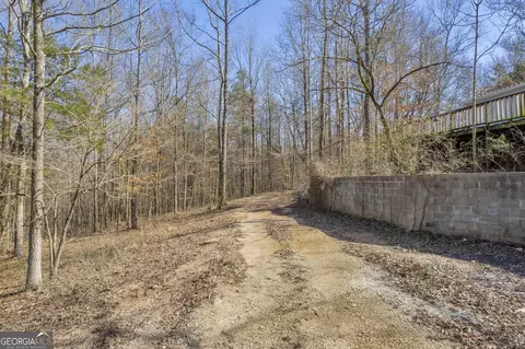 216 Falcon Ln, Carnesville, GA 30521 photo 6