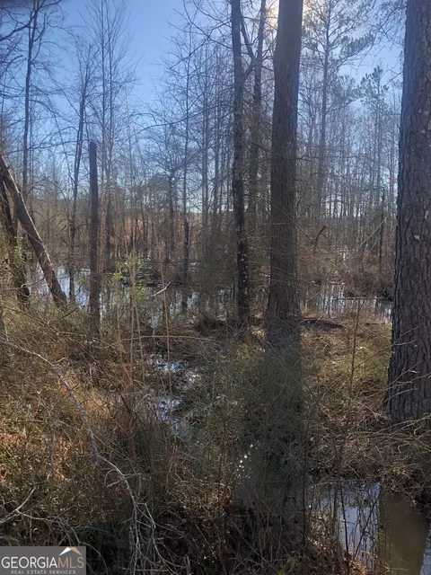 776 Allen Rd, Butler, GA 31006