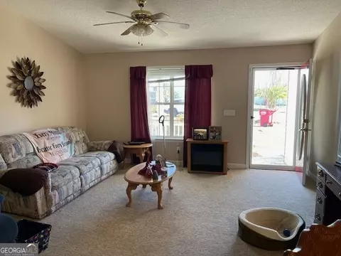 6650 Pine Ridge Cir, Blackshear, GA 31516 photo 3