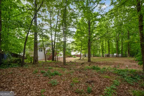 572 Saddle Ridge Dr, Bethlehem, GA 30620 photo 47