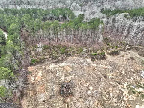 View/Area - 310 Bottoms Rd, Barnesville, GA 30204 photo 5 of 13