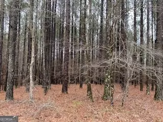 0 Briarrose Wynd #LOT 15, Sparta, GA 31087