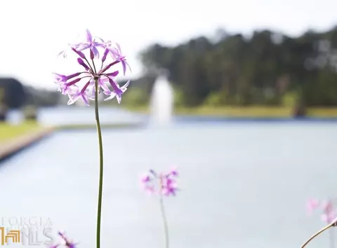 0 Green Buoy Ct Apt Lot #LOT 488, Saint Marys, GA 31558