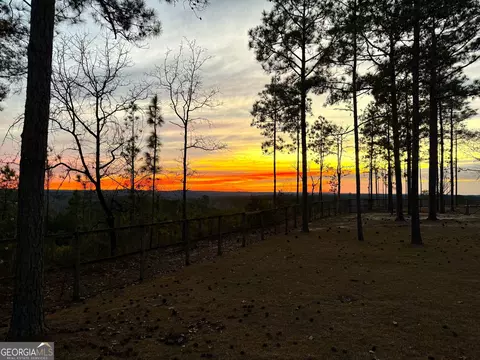 155 Violet Pl, Eufaula, AL 36027 photo 38