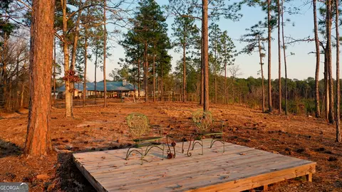 155 Violet Pl, Eufaula, AL 36027 photo 48