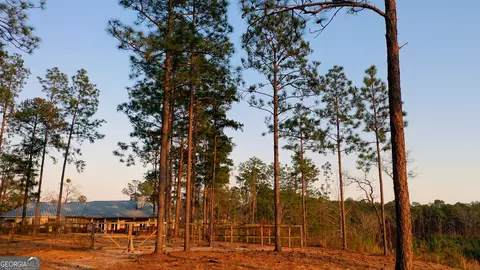 155 Violet Pl, Eufaula, AL 36027 photo 47