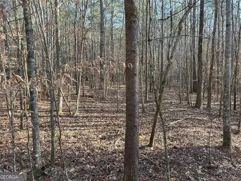 0 Mud Green Rd #TRACT 7, Temple, GA 30179