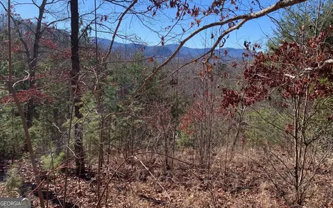 111 Four Seasons Lndg, Blairsville, GA 30512