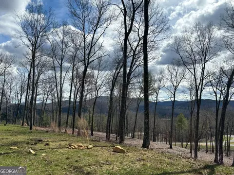 lot173 Southern Cross Ct, Morganton, GA 30560