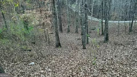 304 Blake Dr, Canton, GA 30114 photo 90