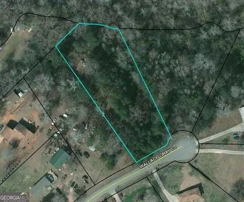 0 Wallace Gray Ct #LOT 2, Newnan, GA 30263