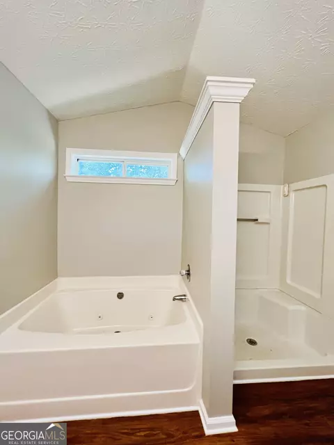 Bath - 2042 Elm Grove Ln, Hampton, GA 30228 photo 2 of 4