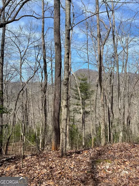 APT 6 Owl Creek Road, Hiawassee, GA 30546