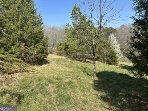 0 Papa Coon Trl #1A, Demorest, GA 30535