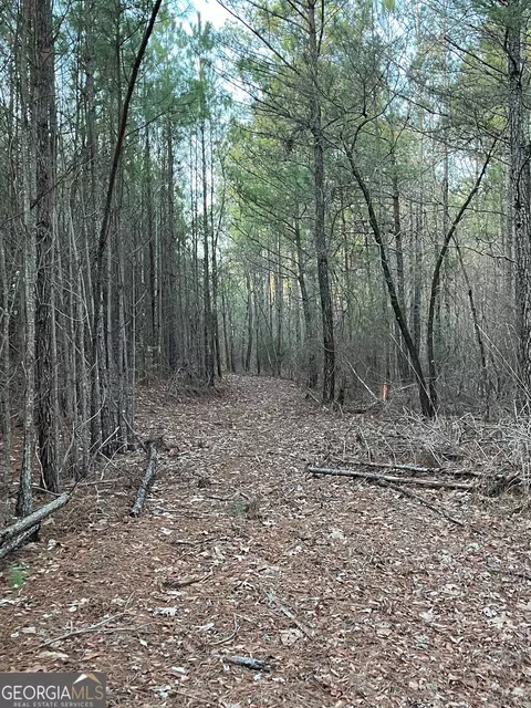 2480 E Hermitage Rd, Kingston, GA 30145 photo 19