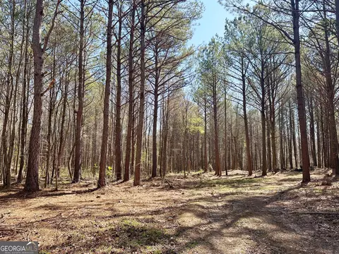 1580 Back Berryton Rd, Summerville, GA 30747