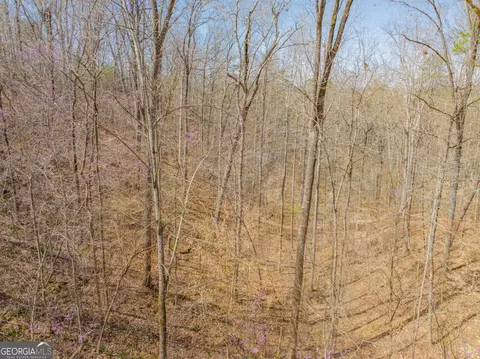 0 Sparrow Way, Toccoa, GA 30577 photo 11