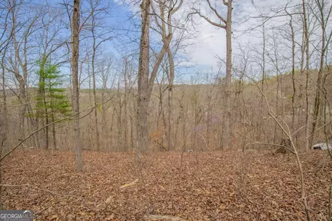 0 Sparrow Way, Toccoa, GA 30577 photo 12