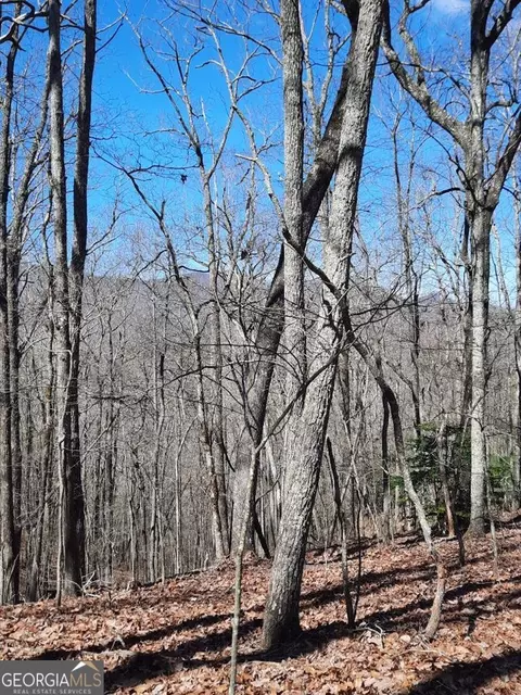 lot7 Quail Run Rdg, Murphy, NC 28906 photo 21