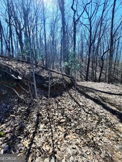 lot7 Quail Run Rdg, Murphy, NC 28906 photo 12