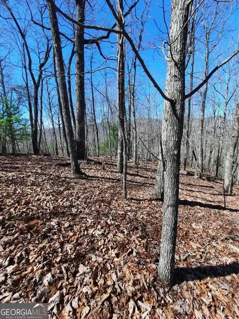 lot7 Quail Run Rdg, Murphy, NC 28906 photo 19