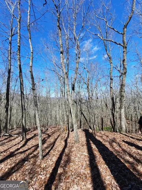 lot7 Quail Run Rdg, Murphy, NC 28906 photo 24