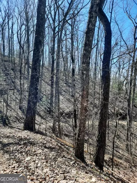 lot7 Quail Run Rdg, Murphy, NC 28906 photo 22