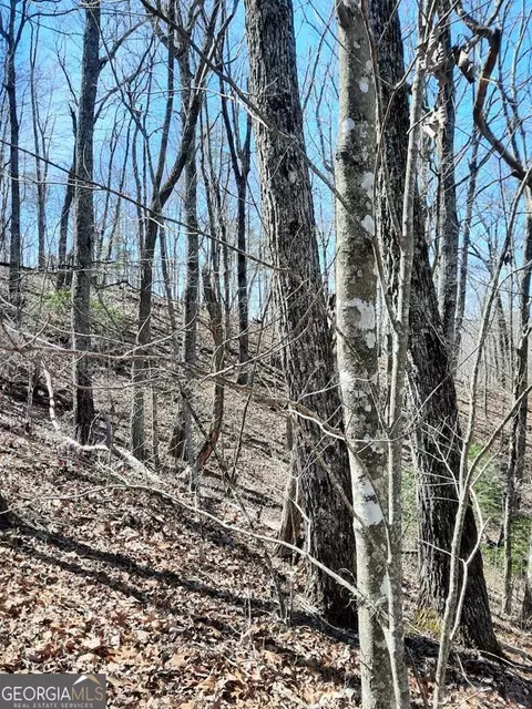 lot7 Quail Run Rdg, Murphy, NC 28906 photo 11