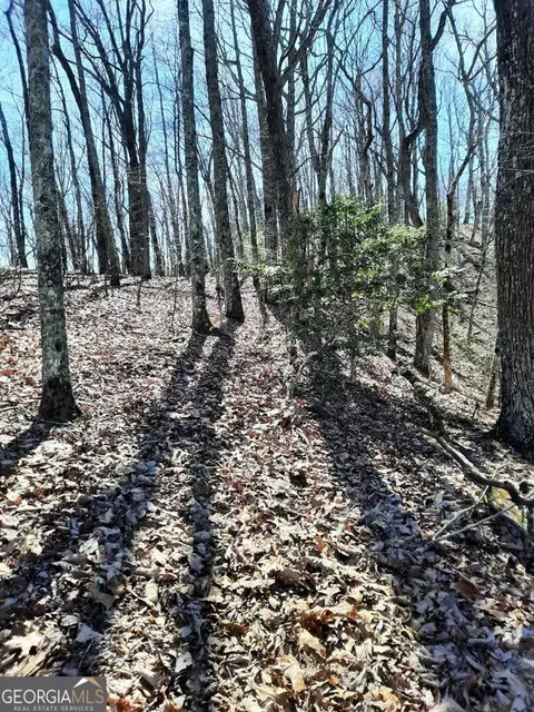 lot7 Quail Run Rdg, Murphy, NC 28906 photo 5