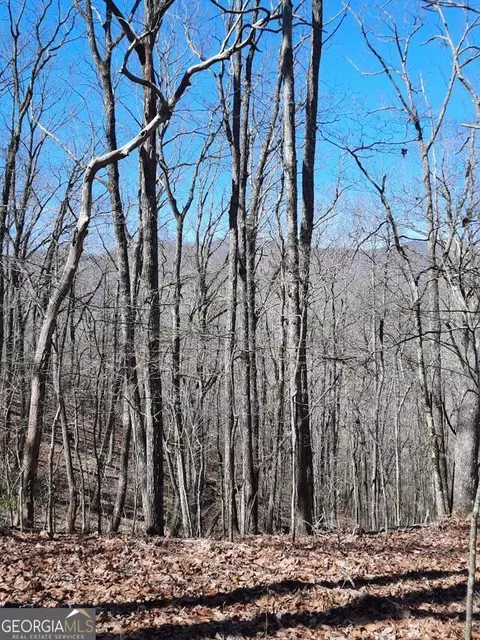 lot7 Quail Run Rdg, Murphy, NC 28906 photo 20