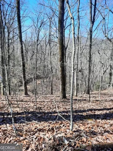 lot7 Quail Run Rdg, Murphy, NC 28906 photo 17