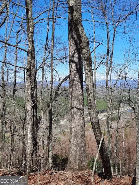 lot7 Quail Run Rdg, Murphy, NC 28906